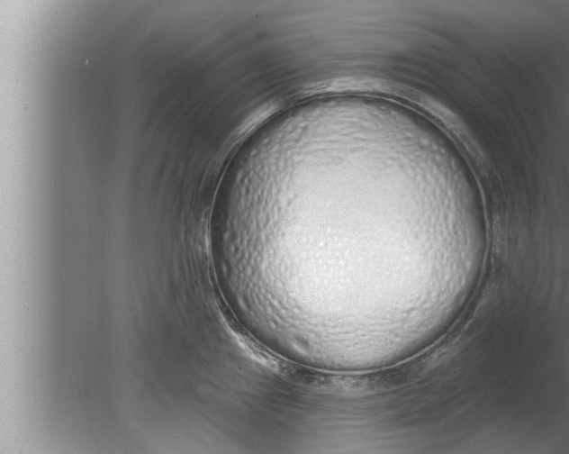 X0000080131241200612302028