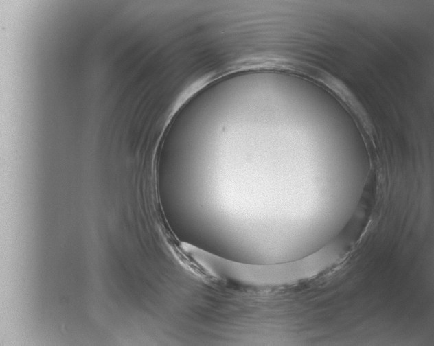 X0000080131242200612302028