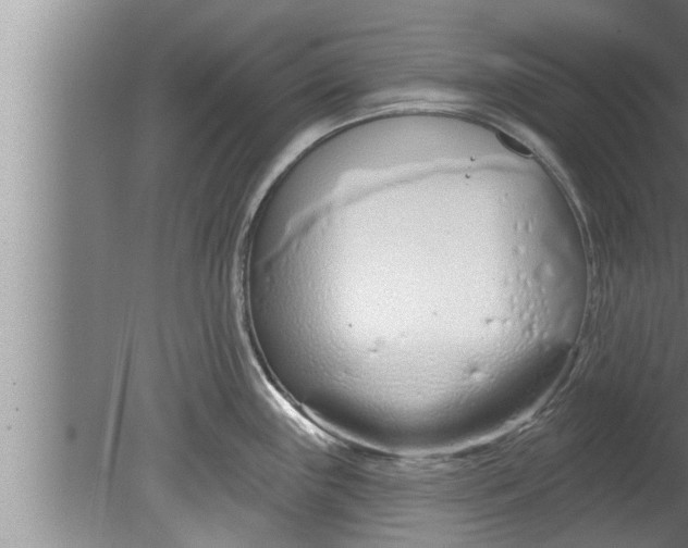 X0000080131243200612302028