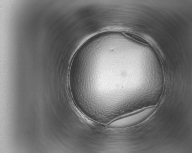 X0000080131244200612302028