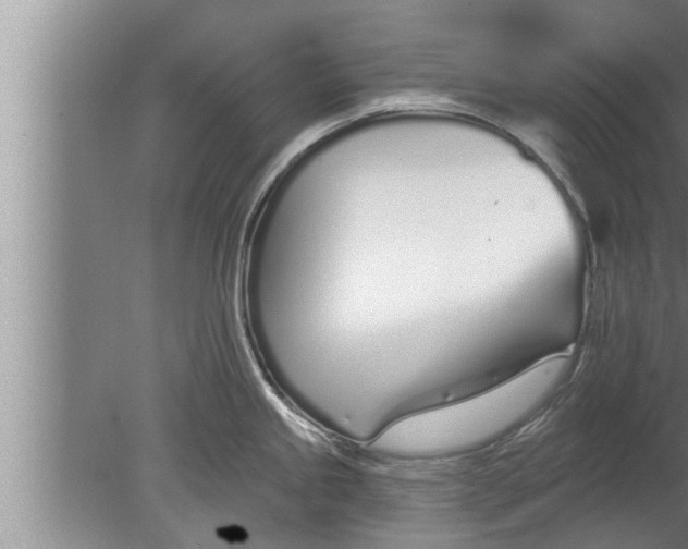 X0000080131245200612302028