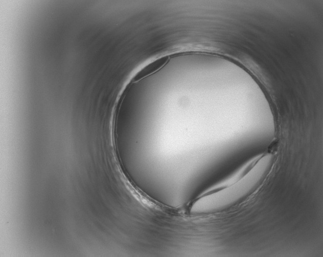 X0000080131246200612302028