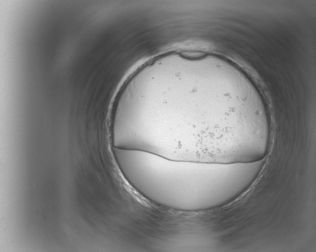 X0000080131248200612302028