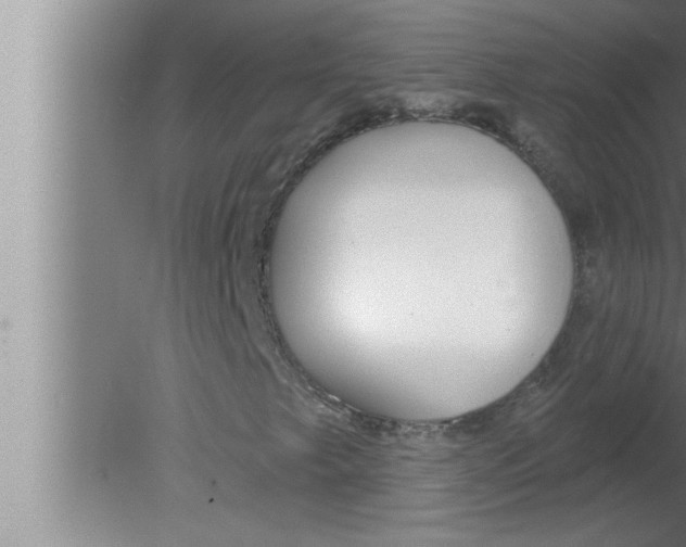 X0000080131249200612302027