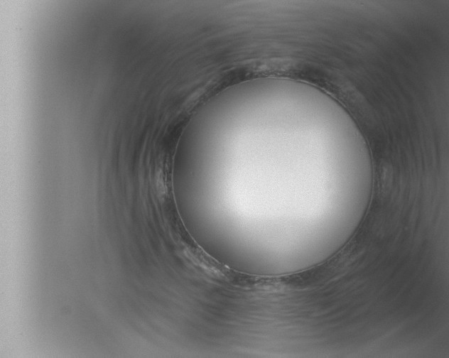 X0000080131250200612302027