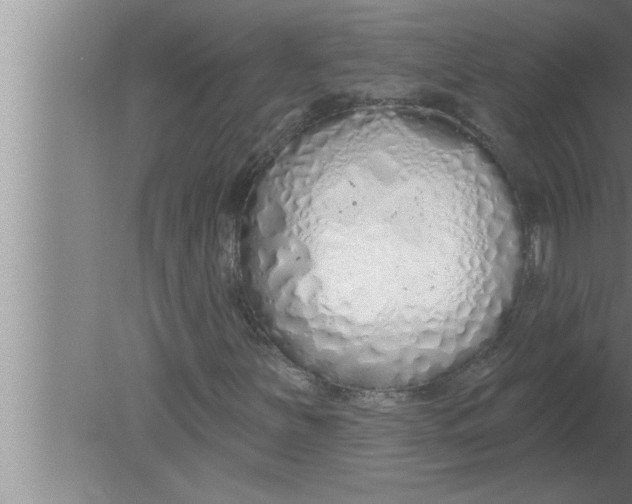 X0000080131251200612302027