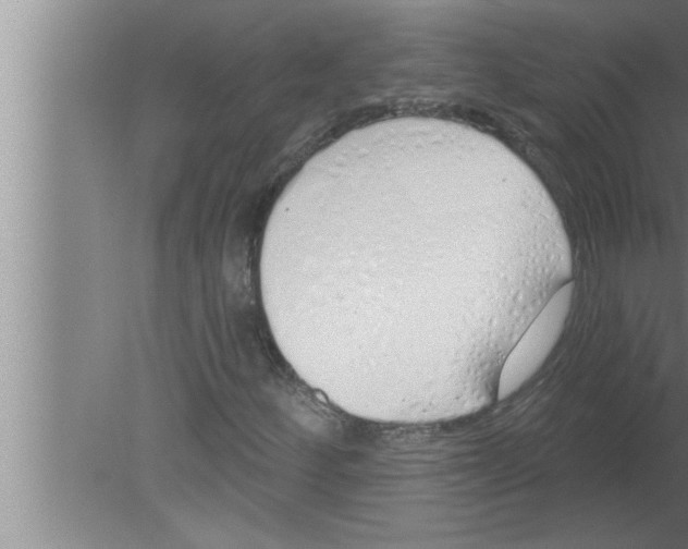 X0000080131252200612302027