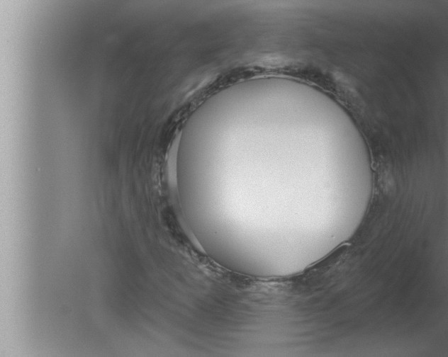 X0000080131253200612302027