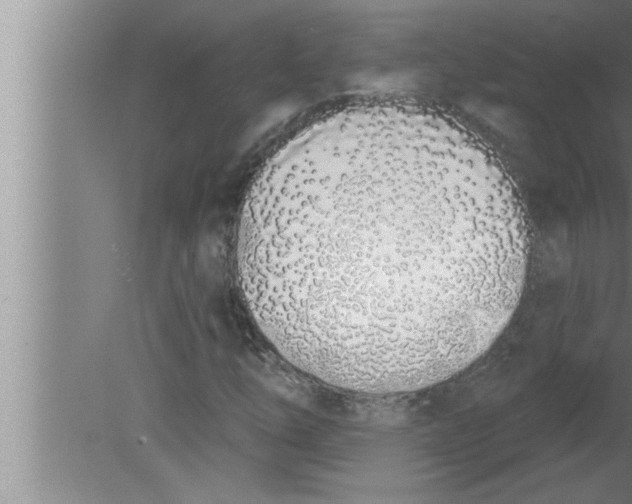 X0000080131254200612302027