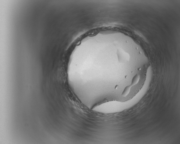 X0000080131256200612302027