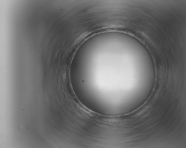 X0000080131257200612302027