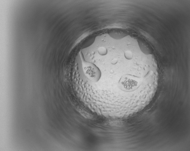 X0000080131258200612302027