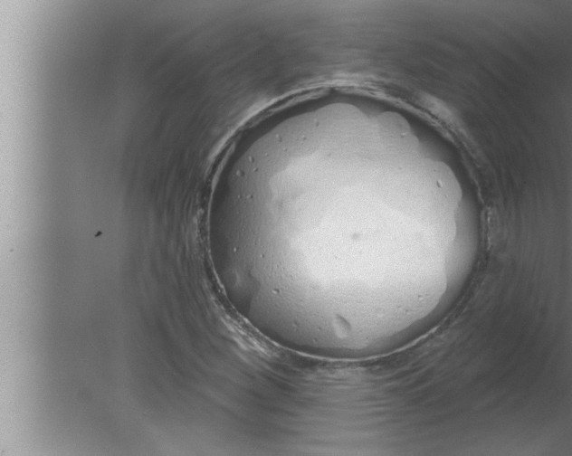 X0000080131260200612302027