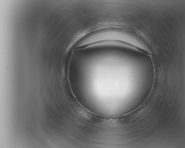 X0000080131261200612302027