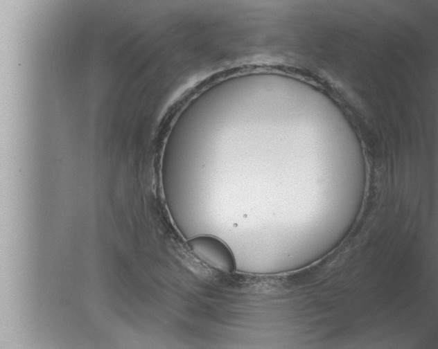 X0000080131262200612302027