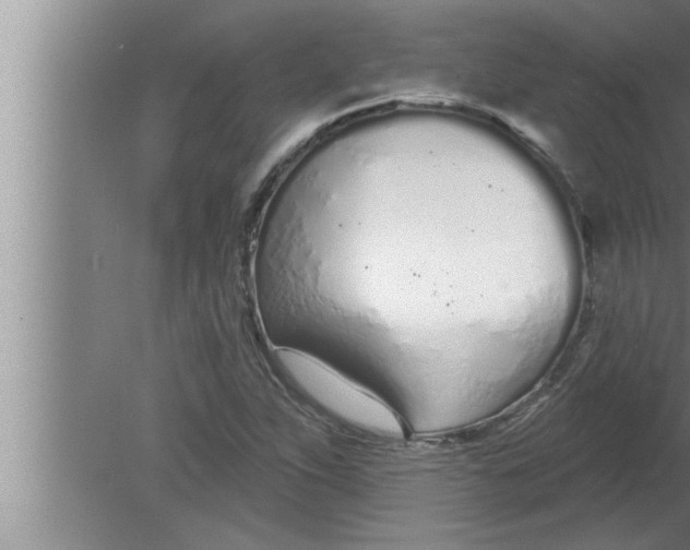 X0000080131263200612302027