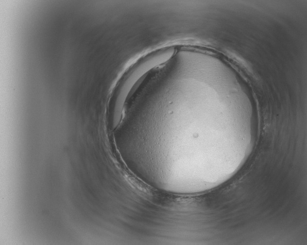 X0000080131264200612302027