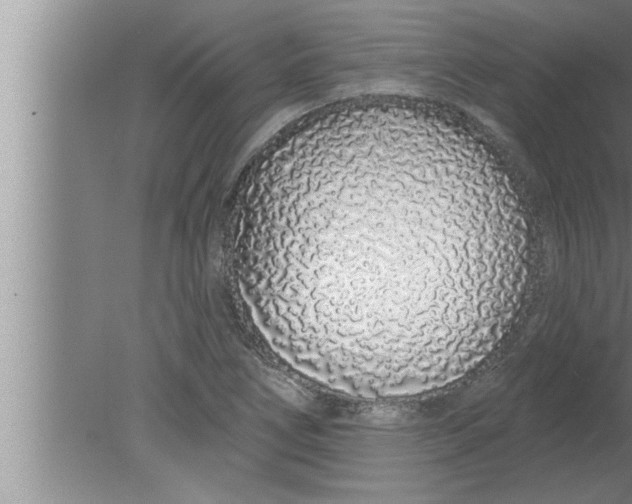 X0000080131266200612302027