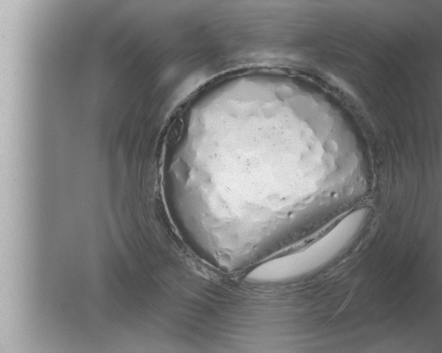 X0000080131267200612302027