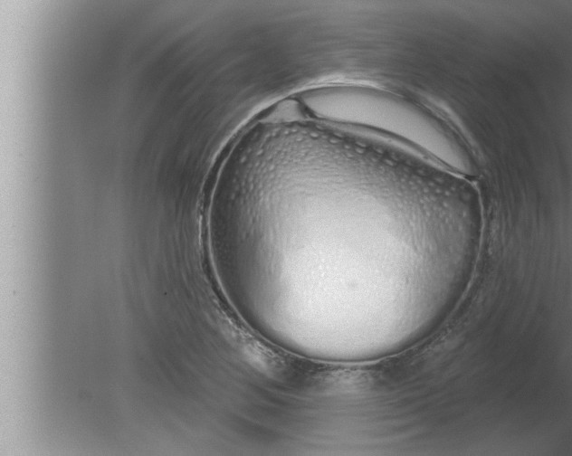 X0000080131268200612302027