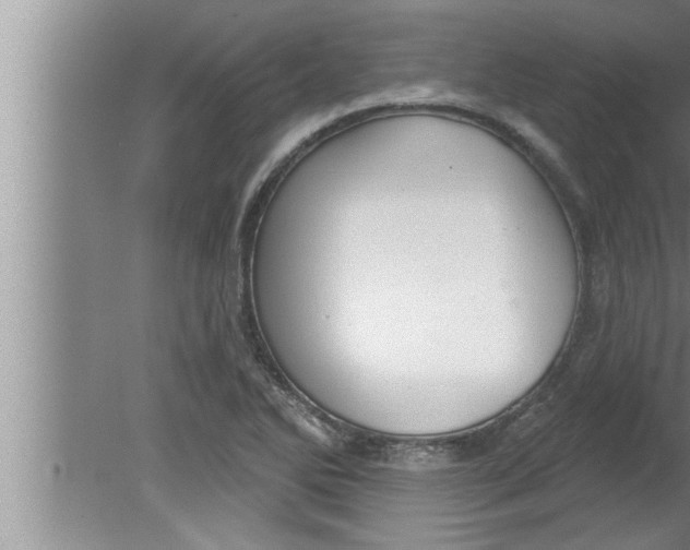 X0000080131270200612302027