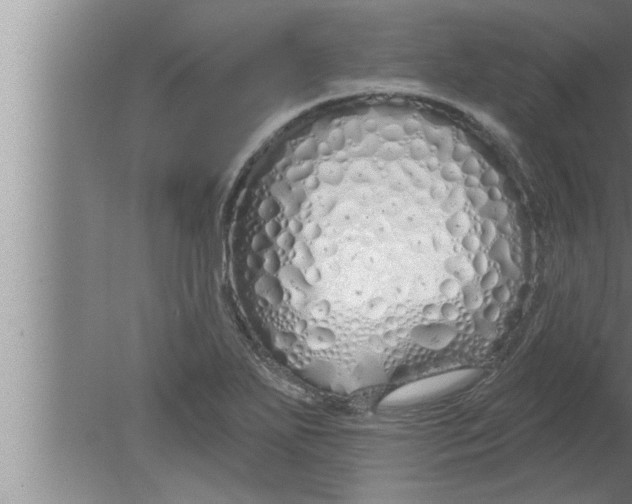 X0000080131271200612302027