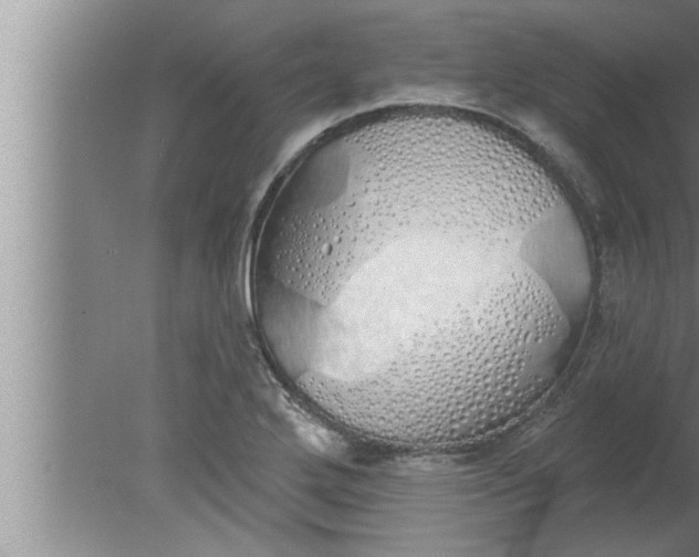 X0000080131272200612302027