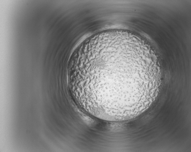 X0000080131274200612302027