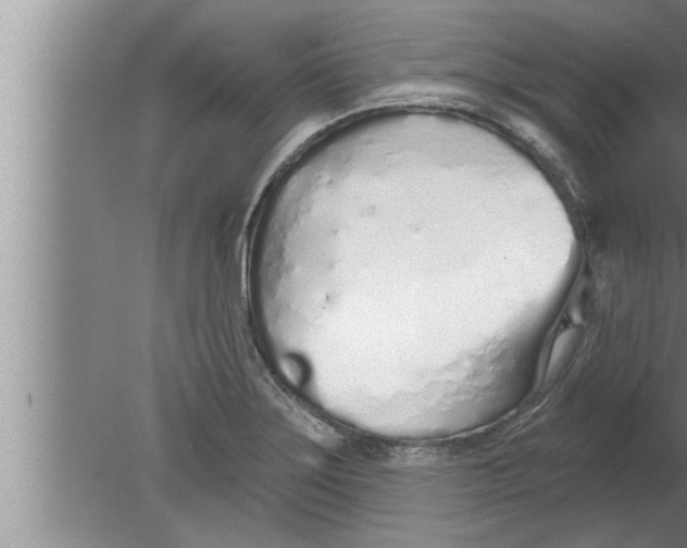 X0000080131275200612302027