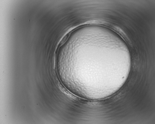 X0000080131276200612302027