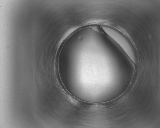 X0000080131277200612302026