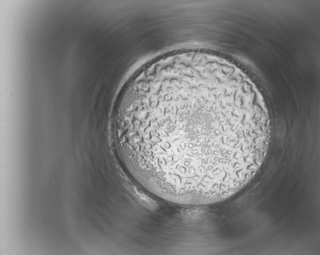 X0000080131278200612302026