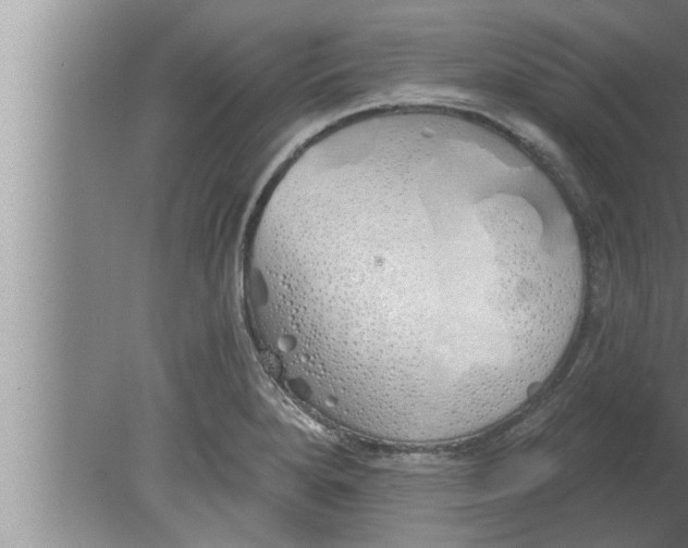 X0000080131280200612302026