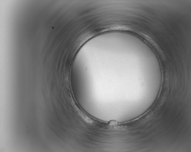 X0000080131281200612302026