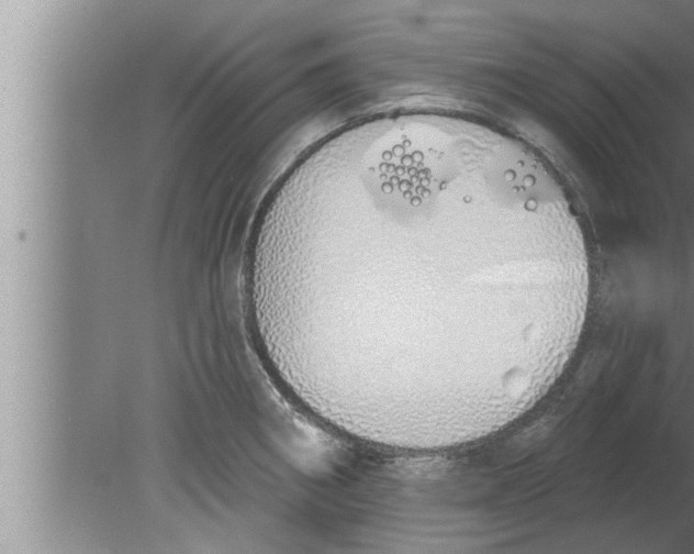 X0000080131282200612302026