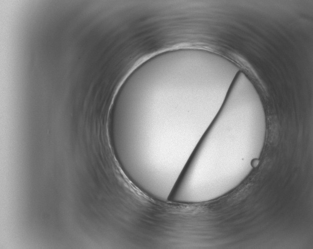 X0000080131284200612302026