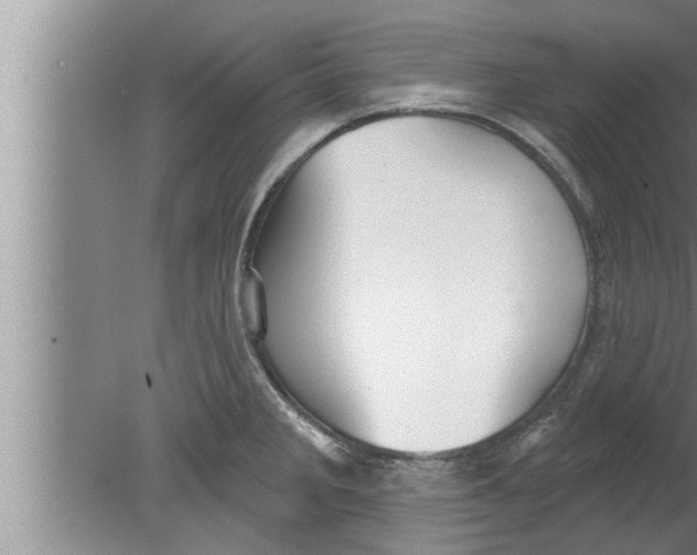 X0000080131285200612302026