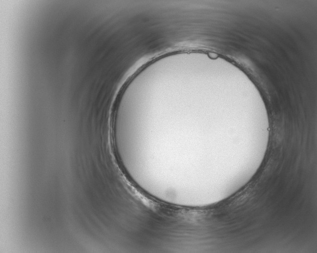 X0000080131286200612302026