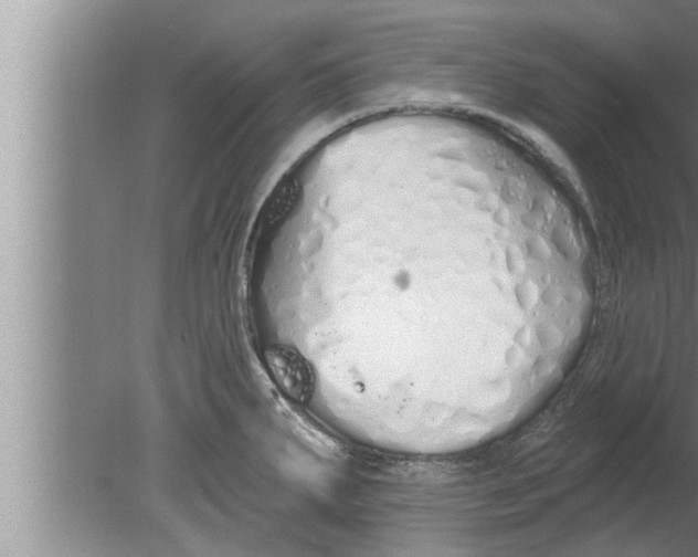 X0000080131287200612302026