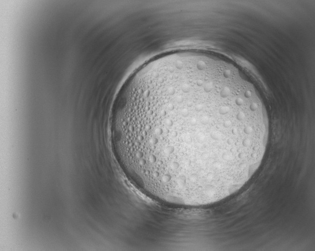 X0000080131288200612302026