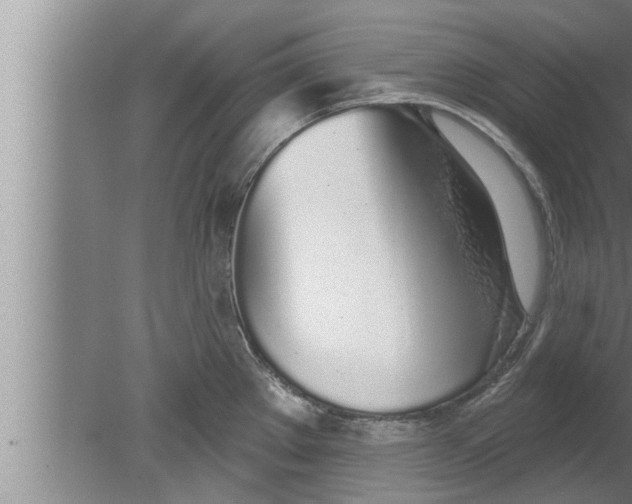 X0000080131289200612302026