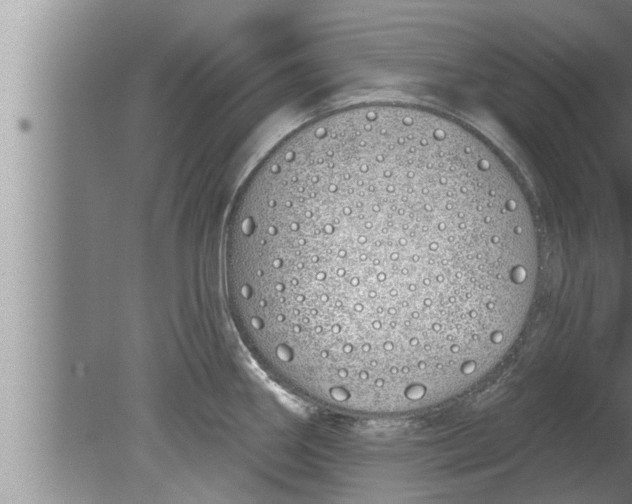 X0000080131290200612302026