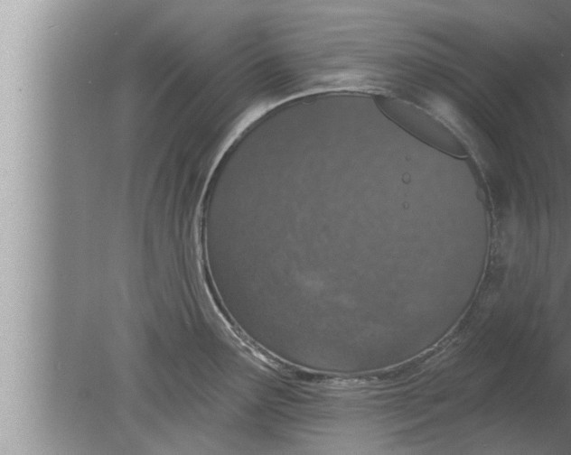 X0000080131291200612302026