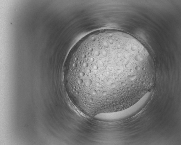 X0000080131292200612302026