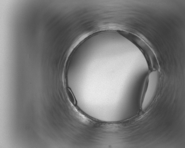 X0000080131293200612302026