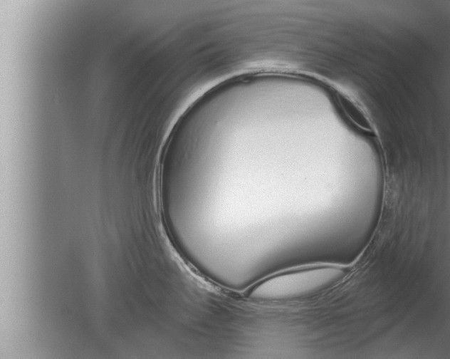 X0000080131295200612302026