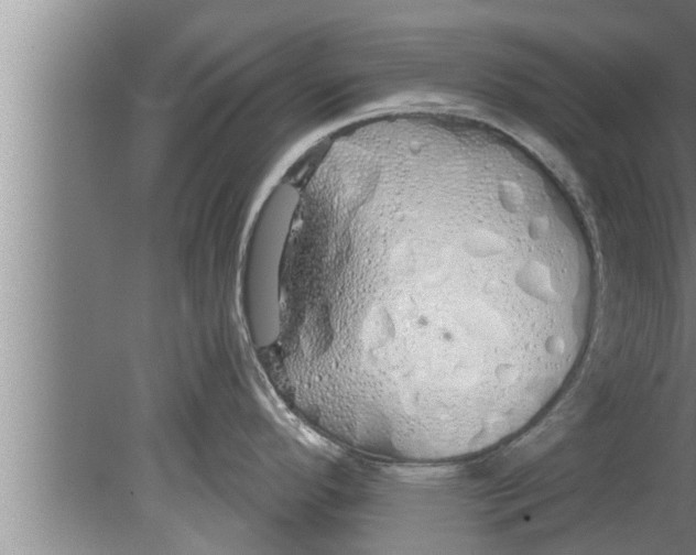 X0000080131296200612302026