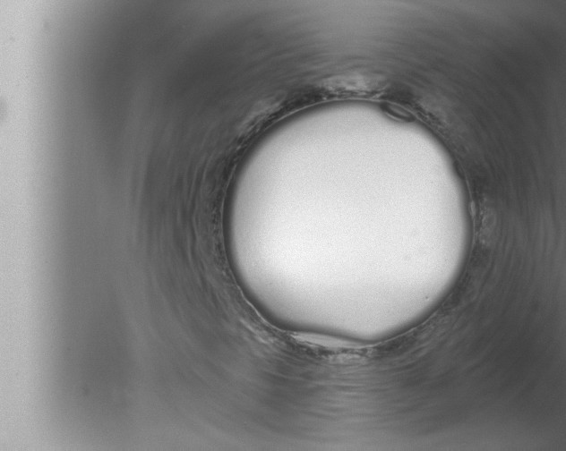 X0000080131297200612302025