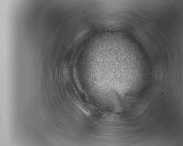 X0000080131298200612302025