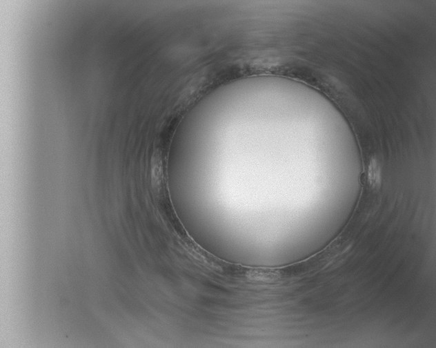 X0000080131299200612302025